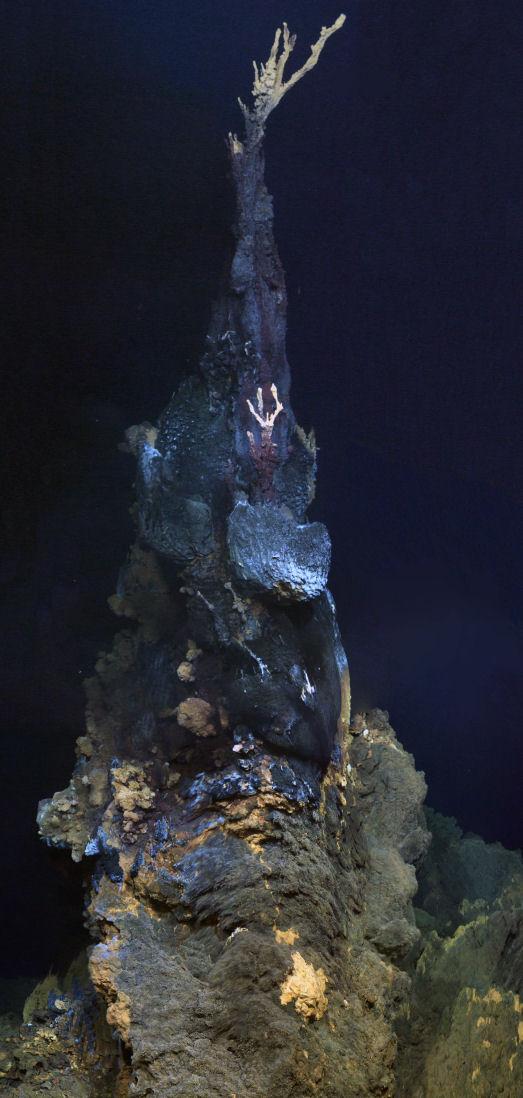 The 'Jabberwocky'