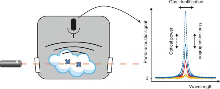 Principle of Photo-Acoustic Laser Absorption Spectroscopy in Trace Gas Detection