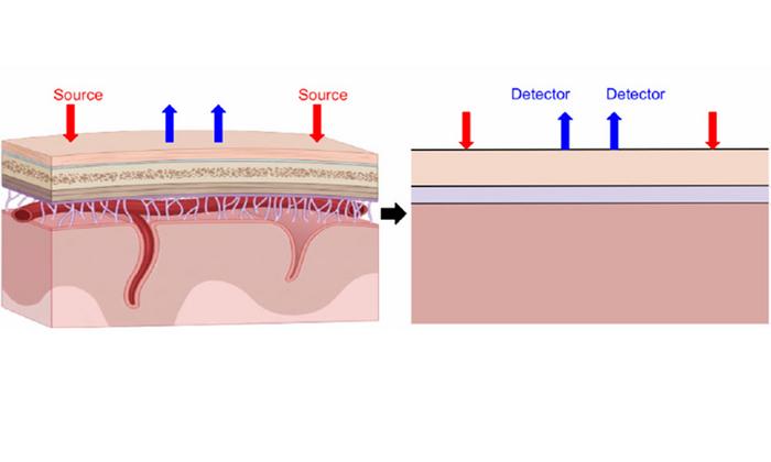 Three-layered model
