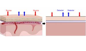 Three-layered model