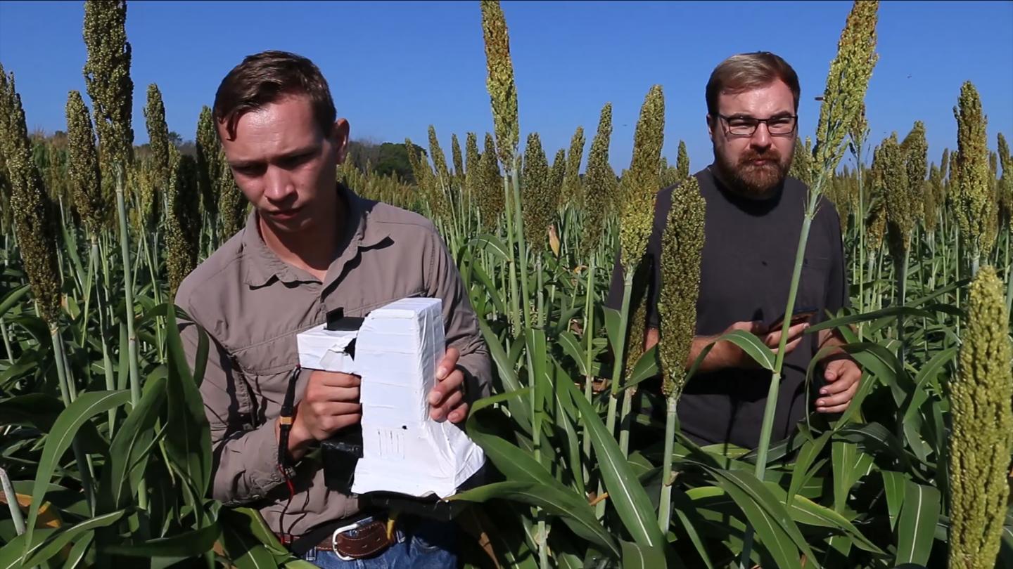Handheld Plant Scanners