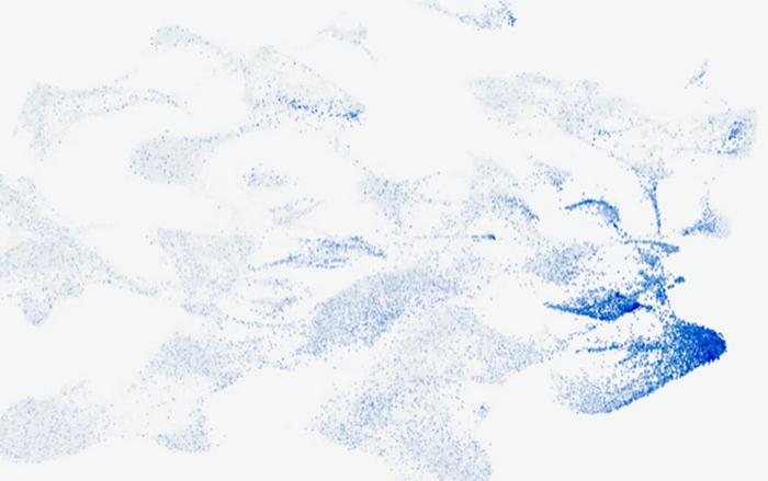 UMAP of scRNA-seq data along the developmental stage of sea urchin larvae
