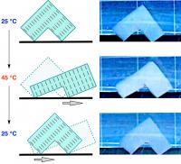 The Walking Hydrogel