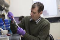 From Plants, UVA Extracts a Better Way to Determine What Genes Do
