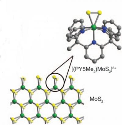 Molybdenite Catalyst