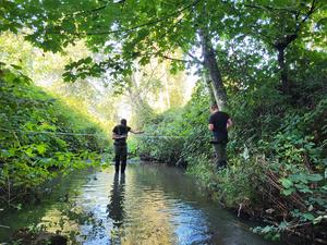 Surveying ponds and streams
