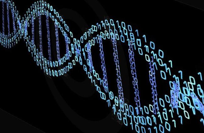 DNA