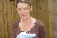 Dr. Fiona Mathews, University of Exeter