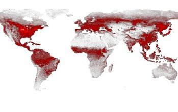 World Map