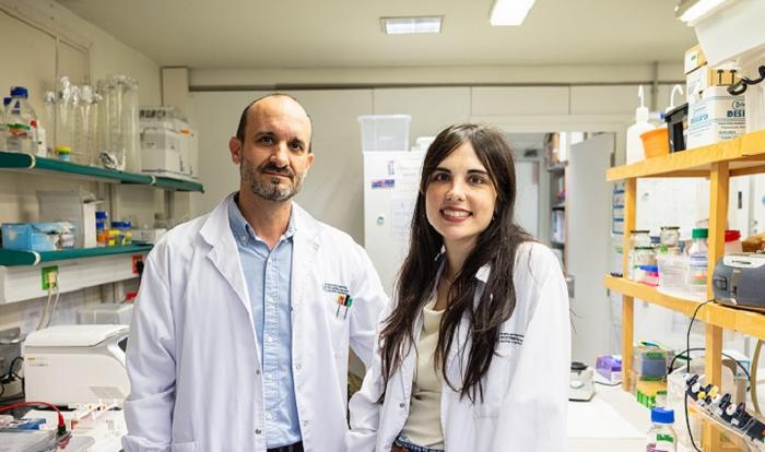 New advances to boost regeneration and plasticity of brain neurons