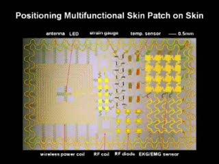 Stretchable Electronic 'Skin' (5 of 9)