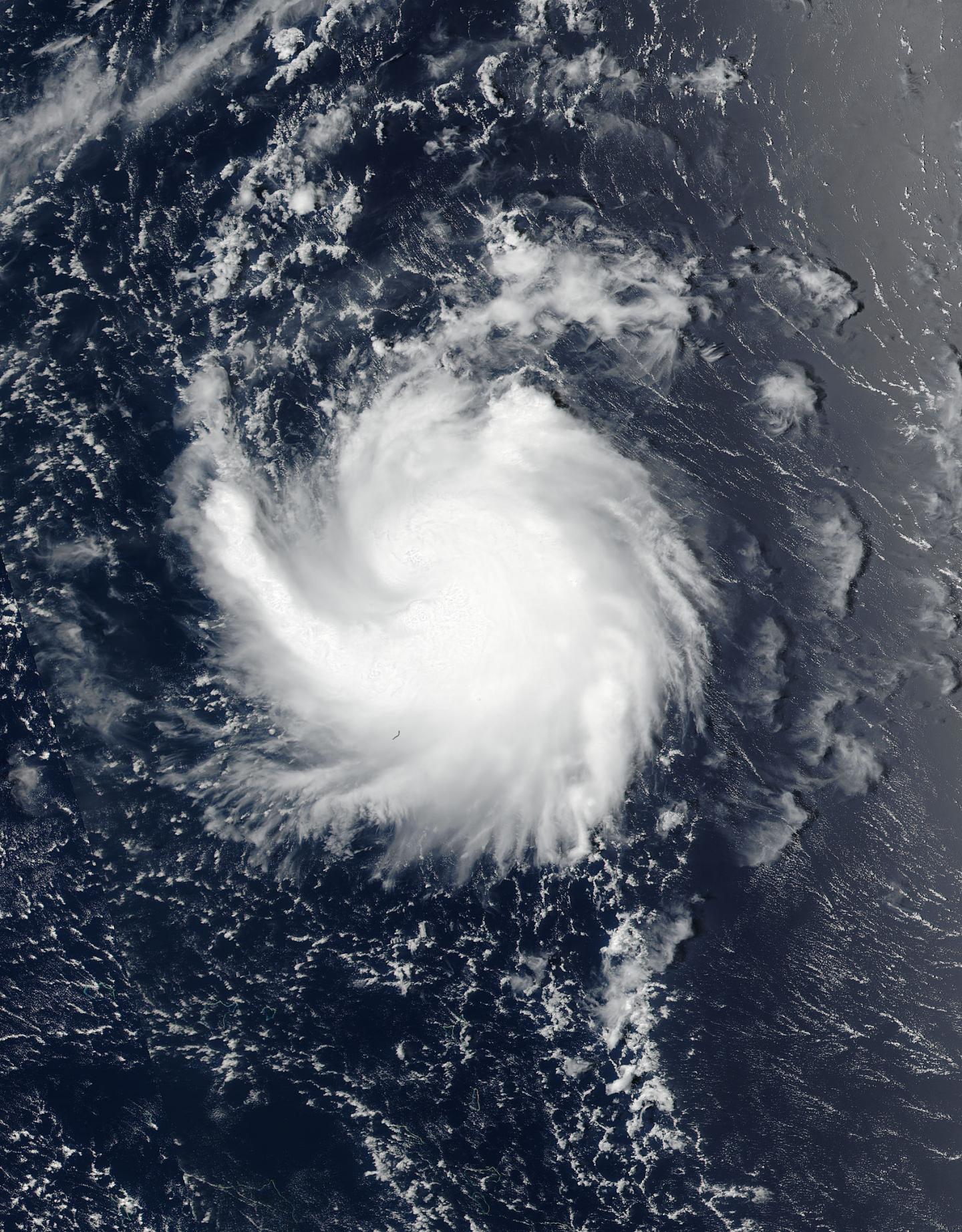 Suomi NPP Image of 14W