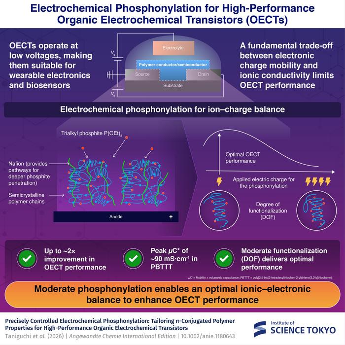 Electrochemical phosphonylation improves organic electrochemical transistor (OECT) performance