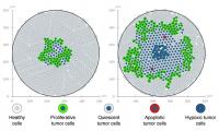 Snapshots of a Tumor Model