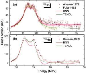 The double GDR peaks (γ, n) cross-section data for 59Co and  165Ho were predicted by the BNN(red curve), which are compared with experimental data (color dots) and the TENDL-2021 data(green curve), respectively.