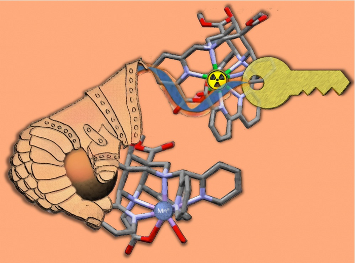 Tailor-made metal complexes