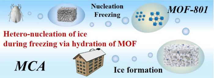 Bioinspired Cellulose Aerogel Mimics White Beetles for Passive Daytime Cooling
