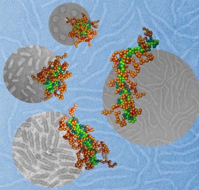 DNA Molecules 