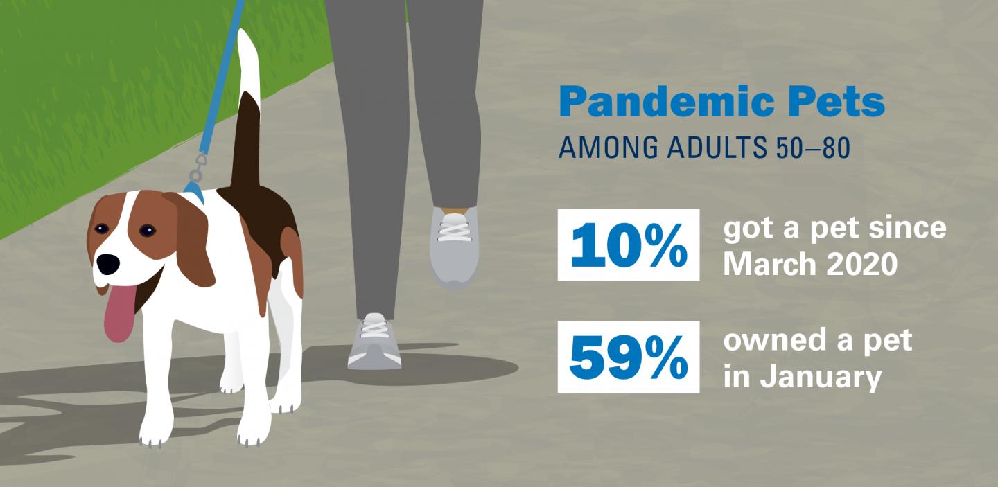 Pandemic pets