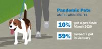 Pandemic pets