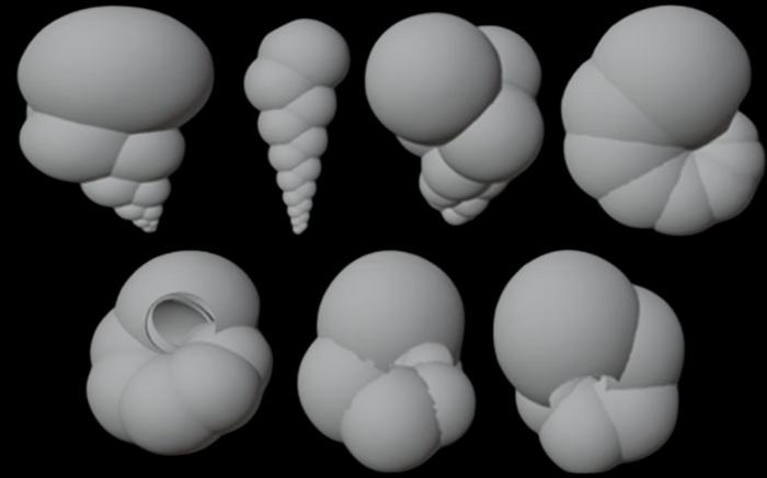 Why sorting marine fossils led to an advance for autonomous robotics
