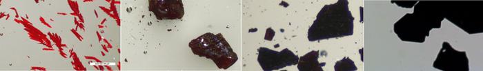 Microscopic images of a series of perovskite crystals