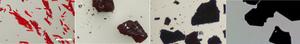 Microscopic images of a series of perovskite crystals