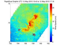 AIRS Image of Dolphin
