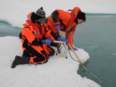 Melting Ice May Be Moving More Algae in the Arctic (6 of 15)