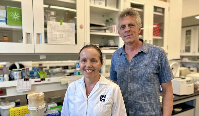 Leishmania: A Parasite That Hijacks Our Cells’ Resources to Multiply
