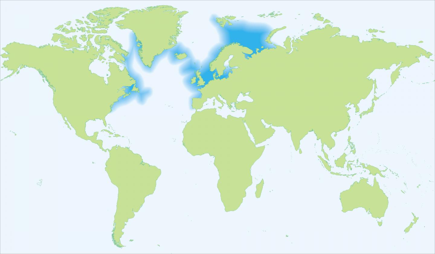 Atlantic Cod Range