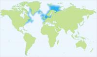 Atlantic Cod Range