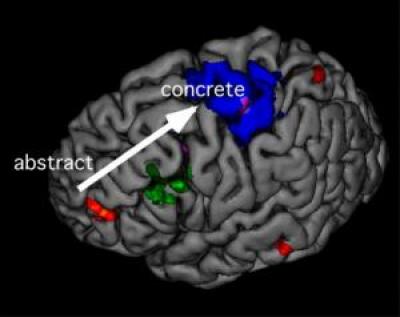 The Neuroscience of Decision-Making