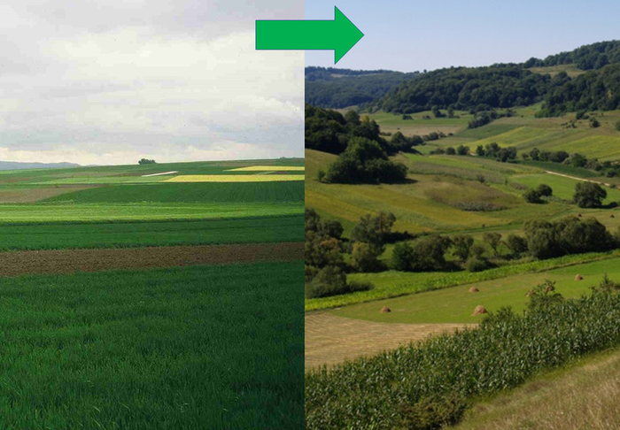 Landscape comparisons