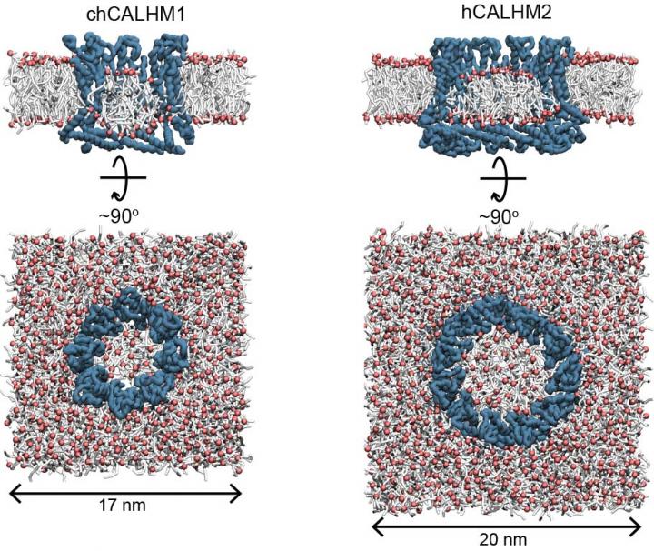 CALHM2 Simulations