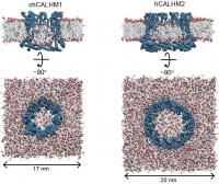 CALHM2 Simulations