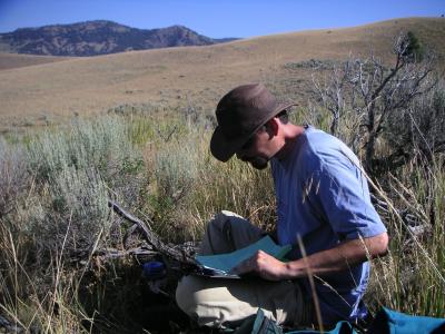 Fieldwork