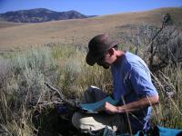 Fieldwork
