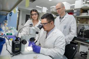Professor Eli Sone and students in his lab