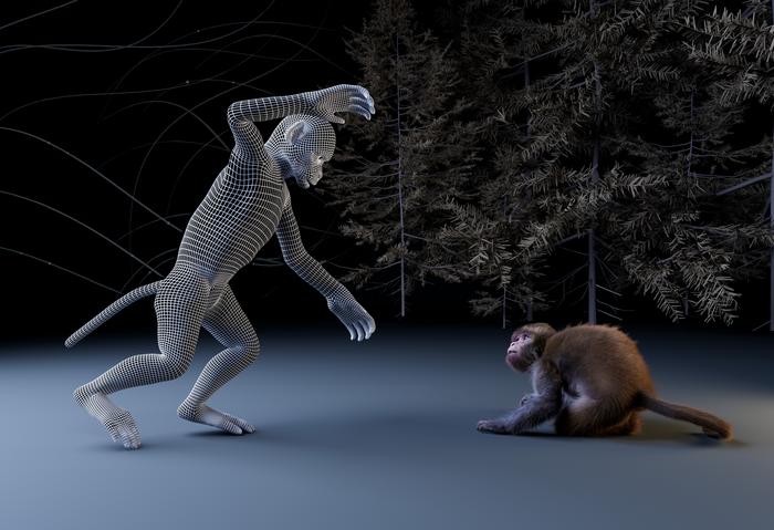 Uncanny valley effect observed in macaques through 3D animated monkey avatars