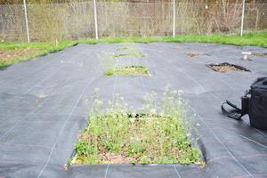 Plots