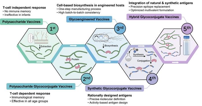 Historical and future perspective of carbohydrate-based vaccines against bacterial infections