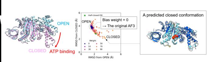 Figure 2: Structure prediction of the F1β subunit with AF3-ReD.