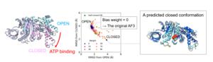 Figure 2: Structure prediction of the F1β subunit with AF3-ReD.