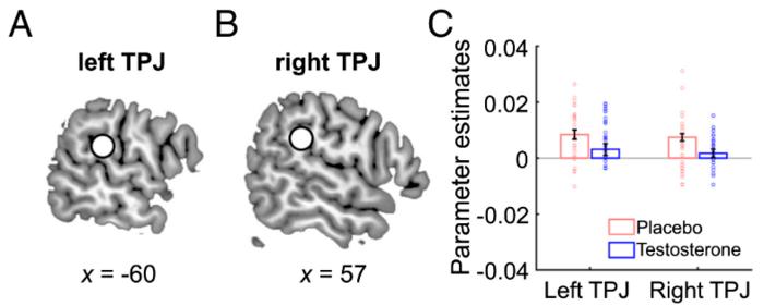 PolyU research reveals neurocognitive correlates of testosterone in young men that shape generosity and self-worth