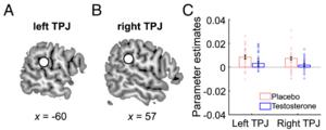 PolyU research reveals neurocognitive correlates of testosterone in young men that shape generosity and self-worth
