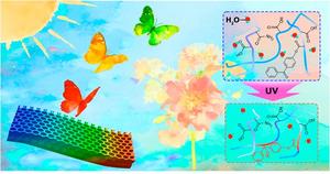 Information Security with Smart Hydrogels: Photo‑Patterning and Multi‑Stimuli Responsive Structural Color