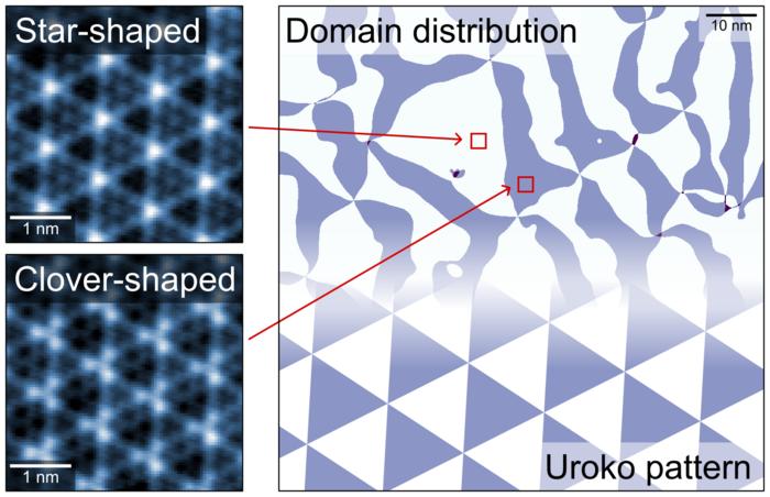 Two types of charge density wave domains spatially distributed like a uroko pattern