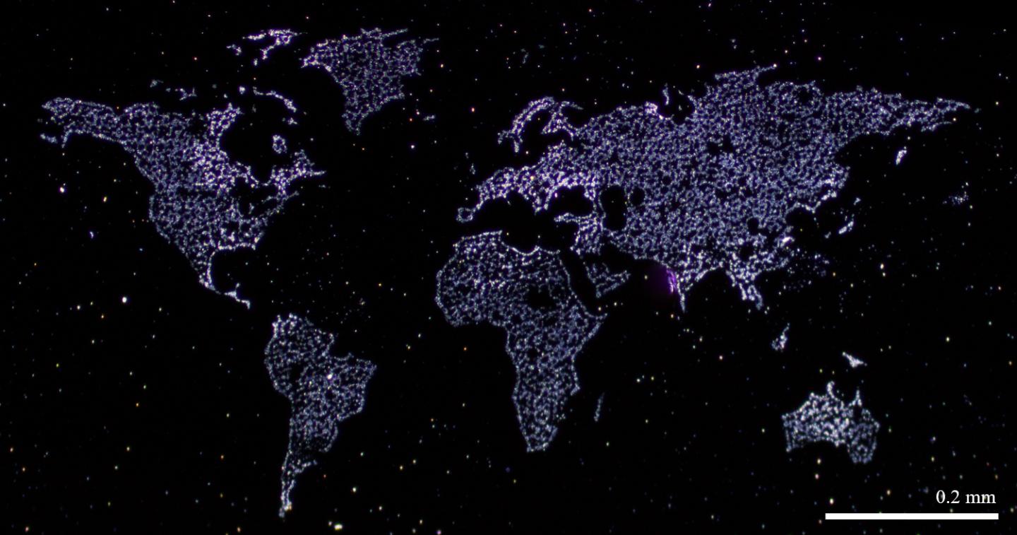 Graphene World