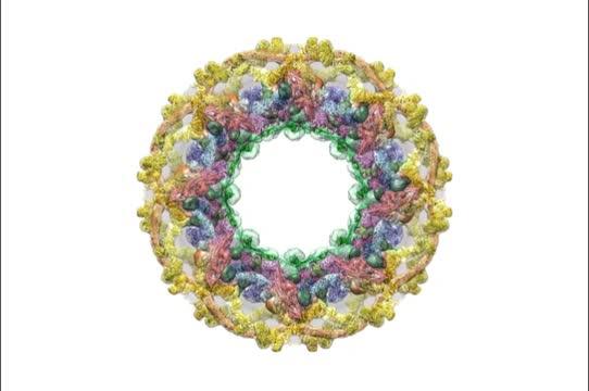 Nuclear Pore Complex